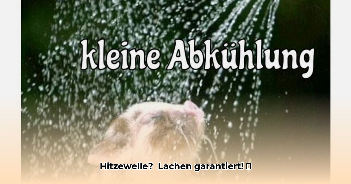 hitze-bilder-lustig-whatsapp